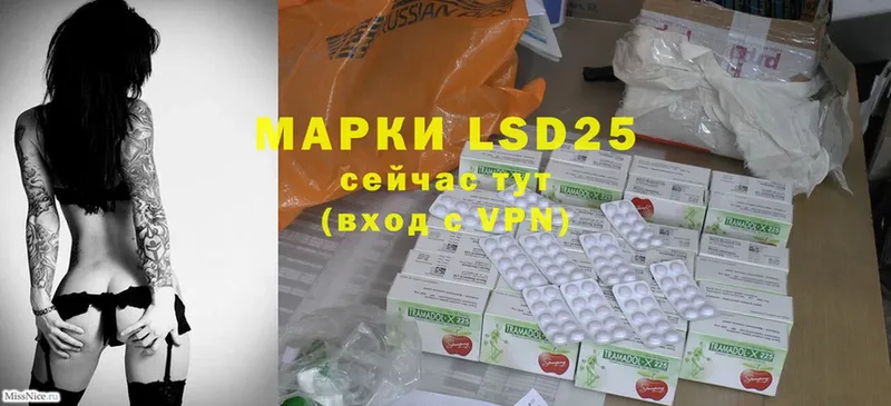 LSD-25 экстази кислота  магазин    блэк спрут ссылка  Каргополь 